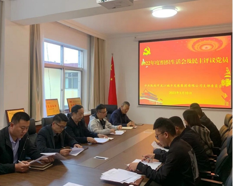 市龍江集團黨支部召開2022年度組織生活會和民主評